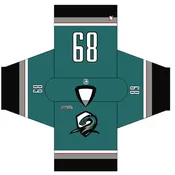 2025 RHL Summer Draft Hockey Jersey