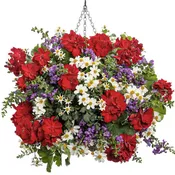 Pre-Order Hanging Baskets