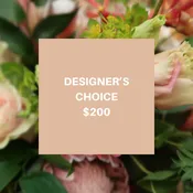 Designers Choice $200