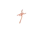 Christian Fish/Ichthys Cross - XL — Gregory's Special Creations