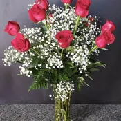 Rose Splendor