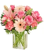 EFFLORESCENCE