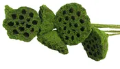Lotus Pods {Moss Coat} 6.pcs