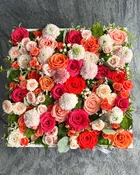 Carre Blanc Collection - Seasonal