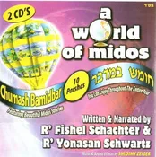 A World of Middos  - Bamidbar (English)