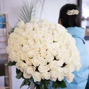 101 Roses