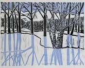 Icy Shadows — Portage Hill Art Gallery