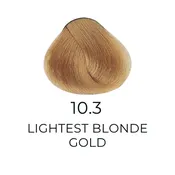 ALFAPARF MILANO Evolution of The Hair Color, 2.05oz – 10.3 – Gold – Lightest Golden Blonde