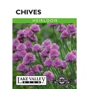 Allium, Chives 'Common' Heirloom