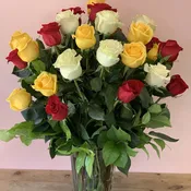 3  Dozen Multi-Colored Roses - W811