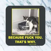 Because F*ck You. That's Why Coaster