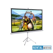 RENTAL 100" Projector 16:9 Projection Screen on Tripod