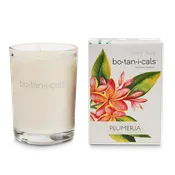 Perfumed Candle - Plumeria