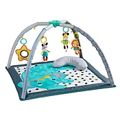 4-in-1 Milestones & Memories Twist & Fold Gym™