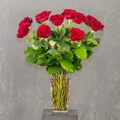 One Dozen Roses