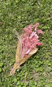 Pink Panther Preserved Flower Bouquet — Nourish Botanica