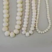 Bone Beads Round