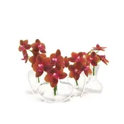 Aphrodite Vase