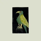 Polly — Anne Made