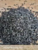 Ceylon Cinnamon — White Pine and Petals  Flowers, Weddings, Plants and Gifts Roscommon Higgins Lake