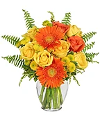 CITRUS ZEST
