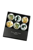 (6) Glass Cat Magnets