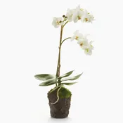 17" Faux Orchid Drop-In