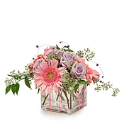 Ballerina TMF14-270