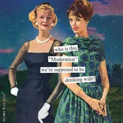 Anne Taintor “Moderation” Cocktail Napkins – Pack of 20 Vintage Style Paper Napkins