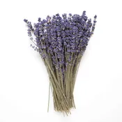 Dried English Lavender