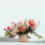 Color of the Week