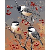Berry Branch Birds