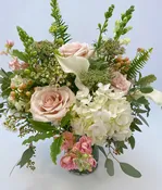 Blush — wisteria rockridge