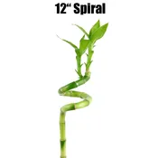 12″ Spiral Stalk (Single)
