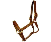 Quillin Claiborne™ Sale Halter