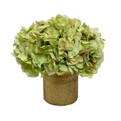 [RESM-AHDLG] Gold Glass Vase Medium - Artificial Hydrangea Light Green