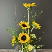 Sunflower Serenity