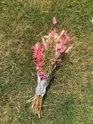 Pinky Doll Dried Arrangement — Nourish Botanica