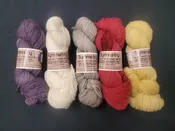 Alpaca Yarn Co Symmetry