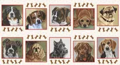 Off The Leash  - Panel of 10"x10" squares