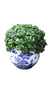 Ceramic Blue & White Landscape Design 11-Inch Planter Pot