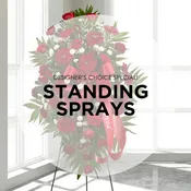 Designer's Choice Special- Standing Spray