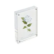 4x6 Acrylic Framed Hydrangea Print No. 2 By Susan Gordon