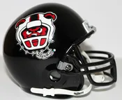 AFL New Jersey Red Dogs Custom Mini Helmet