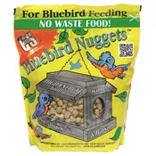 C&S Bluebird Suet Nuggets