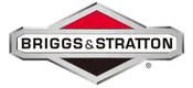 Briggs & Stratton 1702261SM Ring-Ret Int (101680