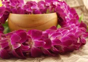 Fresh Orchid Leis – Fresh from Hawaii