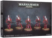 Aeldari: Wraithguard