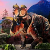 Albertaceratops nesmoi – 1/18th scale action figure