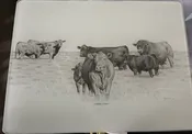 "A Good Start" Cattle Cutting Board